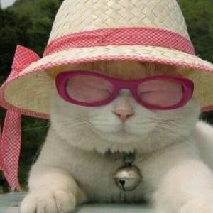 Meet your Posher, Debbie